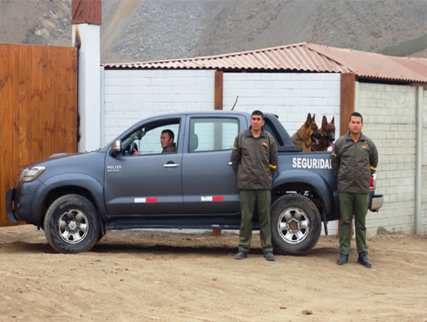 vehiculos todo terreno